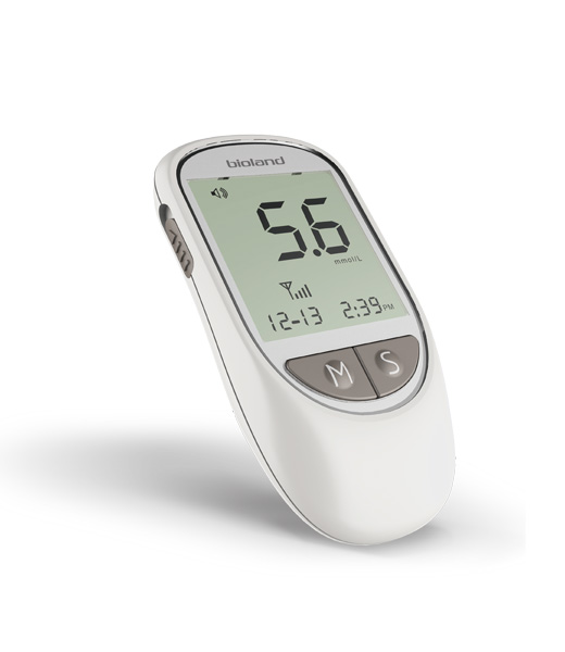 Blood glucose meter